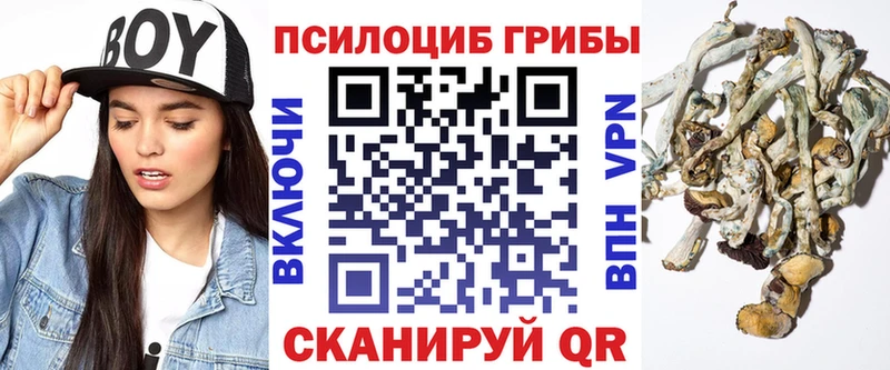 Галлюциногенные грибы Psilocybine cubensis  нарко площадка состав  Лесной 